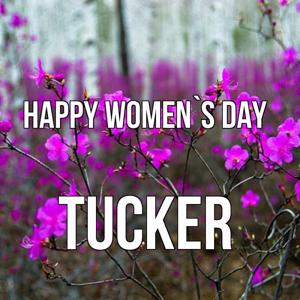 Greetings card с именем, Tucker happy women`s day дикие цветы Greetings with text for free download 